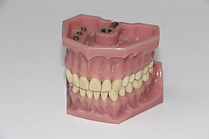 El Máster Cerámica Dental y CADCAM dará pronta salida al mercado laboral, a través de CFI Reina Isabel