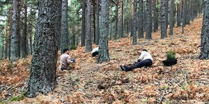 El compromiso con la firma electrónica reforesta el Alto Manzanares
