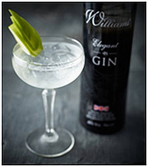 ElegantMartini – Para los gentlemen