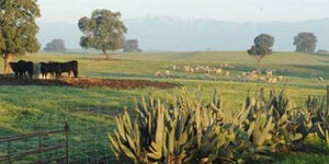 El mejor agricultor del mundo visitará Toledo