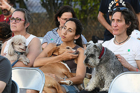 El primer Concierto para Perros en Madrid