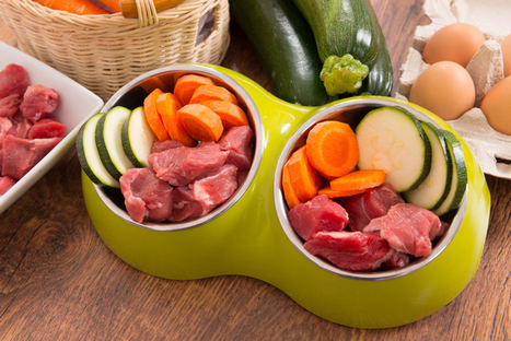 En 2018 aumentarán los espacios pet friendly y las mascotas consumirán más alimentos ecológicos