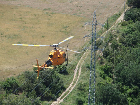 Endesa destina 71,8 millones a mantenimiento de redes y trabajos forestales en la campaña de verano