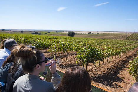 Magia y poesía: propuestas de Ribera del Guadiana en el Día Europeo del Enoturismo