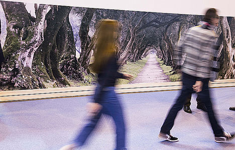 'Greenways Heritage', una oportunidad para las vías verdes y el turismo ferroviario