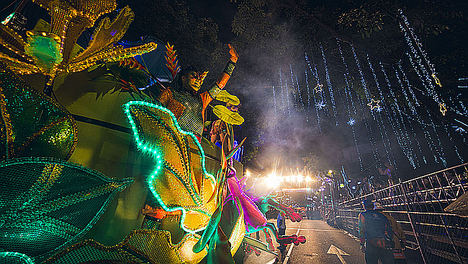 “Pura Vida” con luces navideñas