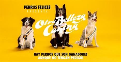 Fiat Professional con el primer Concurso de Belleza para Perros en Adopción