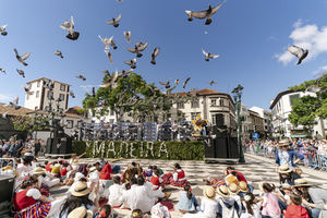 Madeira se prepara para celebrar la Fiesta de La Flor