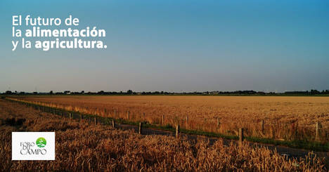 Foro del Campo reabre el debate sobre el futuro de la alimentación y la agricultura en la UE