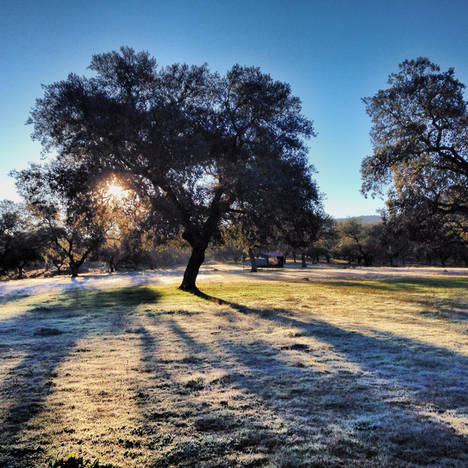 Disfrutar de la Sierra de Huelva será mucho más fácil del 2 al 6 de noviembre