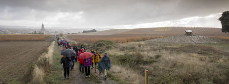 Rioja Alavesa anima la vuelta de vacaciones con eventos para todos
