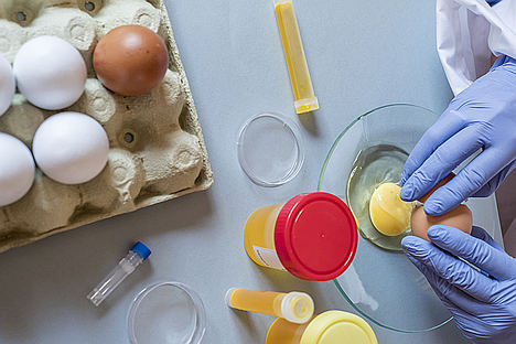 La prevención del fraude alimentario para garantizar la seguridad de los productos