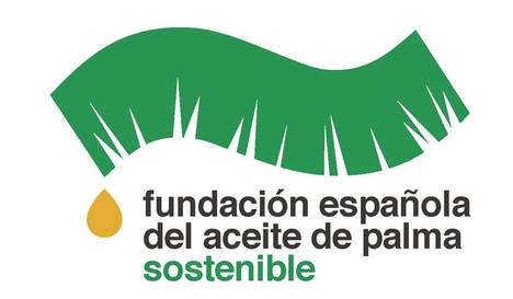 Nace la Fundación Española del Aceite de Palma Sostenible