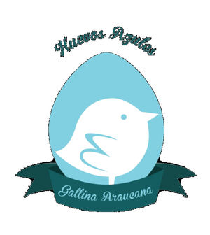 Gallina Araucana explica las características de estas gallinas
