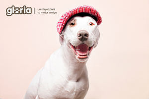 Gloria Pets presentará más de 200 novedades en Iberzoo+Propet 2018