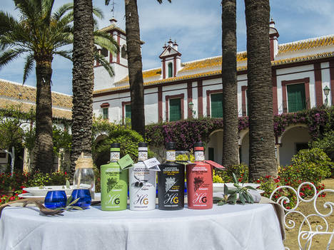 La primera producción AOVE ecológico de la campaña 16/17comienza a recogerse en la exclusiva Hacienda Guzmán