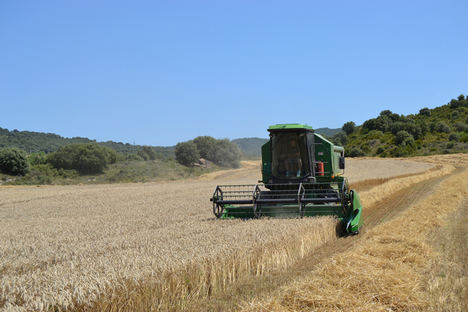 Compromiso Harmony, el programa de agricultura sostenible de Mondelez, recoge unas 27.000 toneladas de trigo en la cosecha de este año