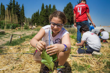 Huerta Santa Ana - Fundación Triodos Bank