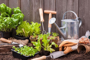 Fundación Triodos amplía el alcance de proyectos de crowdfunding al ámbito de la agricultura social