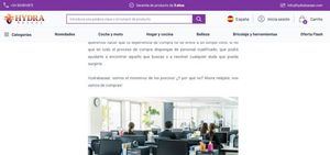 Hydrabazaar, un ejemplo de empresa a seguir