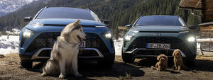 Hyundai Bayon el compañero perfecto para los viajes por carretera con perros