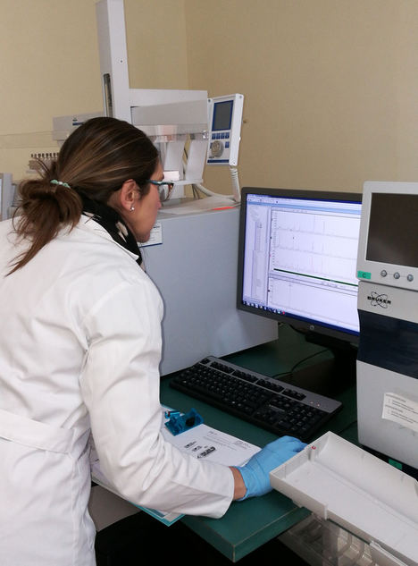 Investigadores de Agricultura describen el potencial saludable del aroma del aceite de oliva virgen extra en la digestión