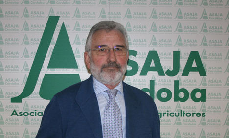 Ignacio Fernández de Mesa.