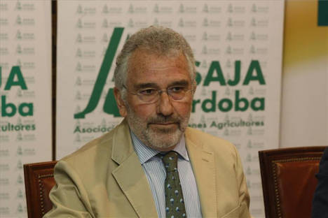 Ignacio Fernández de Mesa