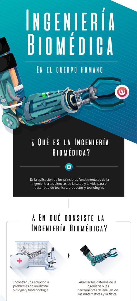 Ingeniería Biomédica en el cuerpo humano