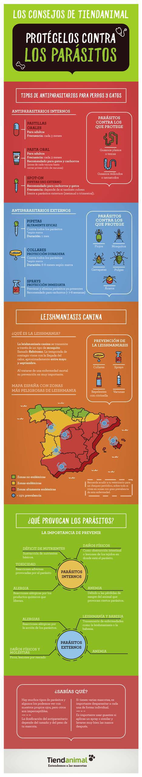 Cómo evitar que los parásitos alteren la primavera de tu mascota… y la tuya