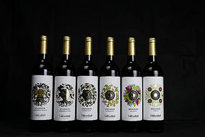 Bodega Soledad cierra el mes de mayo con 24 medallas y menciones honoríficas a sus vinos en concursos nacionales e internacionales