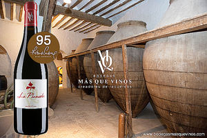 La Plazuela, el vino de Toledo que roza la perfección para Robert Parker