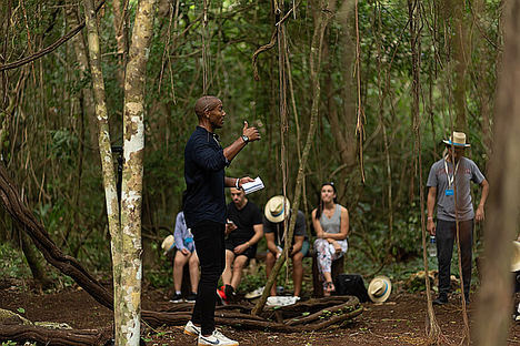 LJ Erwin, Decelera Mayakoba.