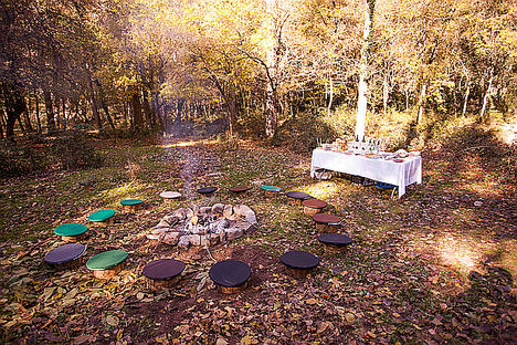 300 hectáreas de bosque para conectar con la naturaleza en reuniones de empresa
