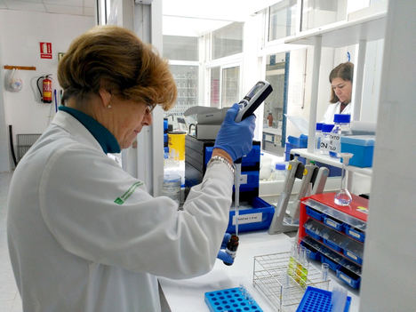 Agapa lanza la primera licitación de compra pública de innovación de la Junta en el ámbito agroalimentario