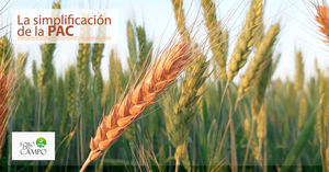 La simplificación de la PAC: un nuevo debate en Foro del Campo