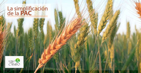 La simplificación de la PAC: un nuevo debate en Foro del Campo
