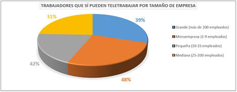 Las microempresas apuestan por el teletrabajo