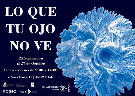 La exposición “Lo que tu ojo no ve”, en la demarcación de Toledo del COACM