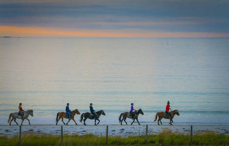 Lofoten a caballo