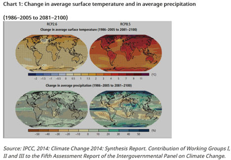 Los efectos desiguales del cambio climático en la economía mundial
