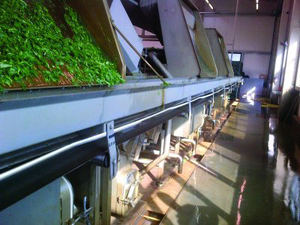 Los rodamientos Molded-Oil de NSK prolongan la vida útil en las cintas transportadoras de las plantas de productos alimenticios