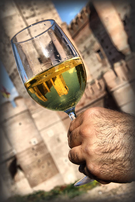 Medina del Campo reivindica su papel protagonista en el Ruta del Vino de Rueda