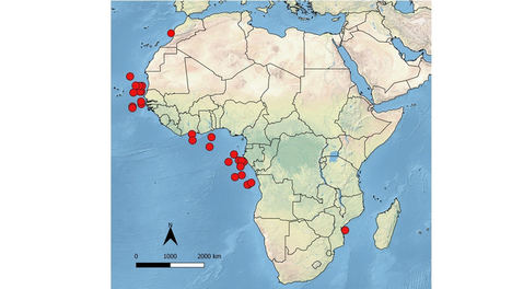 Mapa de actividad