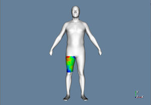 IBV crea una novedosa tecnología de escaneo 4D que permitirá una medicina más personalizada