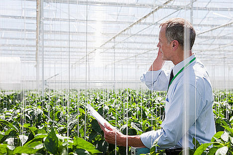Maravitia elige a Atos como partner digital para impulsar los productos artesanos españoles en toda Europa