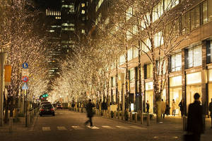 Propuestas únicas para disfrutar de Navidad y Año Nuevo en Japón