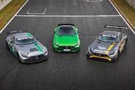 Familia Mercedes-AMG GT