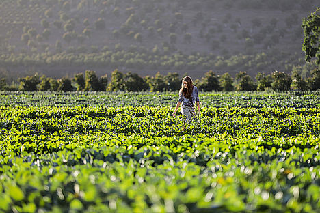 Ibercaja impulsa con Microsoft Azure el desarrollo de la agricultura inteligente para apoyar a los productores agrarios