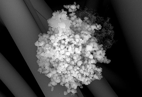 Nanopartícula-PGNano.